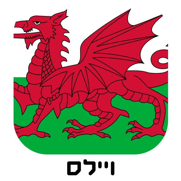 ויילס - חולצות