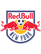 ניו יורק רד בולס