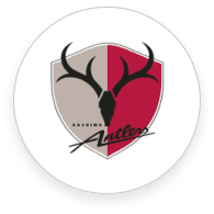 קאשימה אנטלרס - חולצות