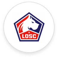 ליל - חולצות