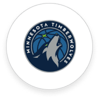מינסוטה טימברוולבס
