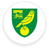 נוריץ' סיטי