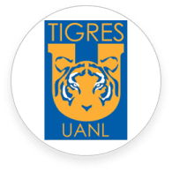 טיגרס